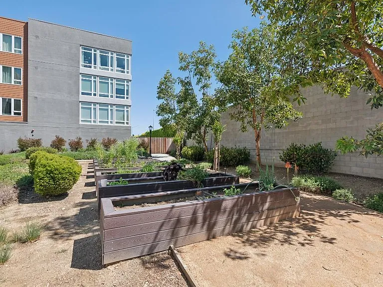 Charlotte Park — Photo 13