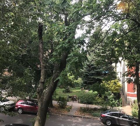 821 Winchester #2 LR View