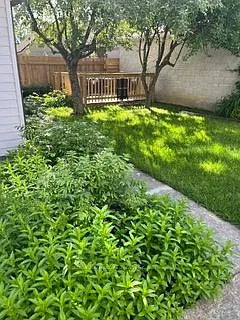 97 12th St #BASEMENT — Photo 9