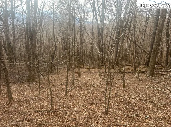 TBD Rainbow Ridge Road, Zionville, NC 28698