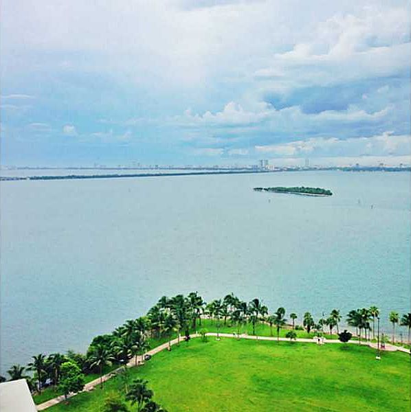 1st image of 1900 N Bayshore Dr APT 1917