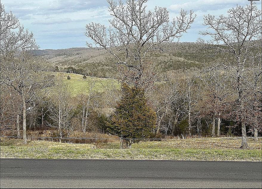 2nd image of LOT 92 #A