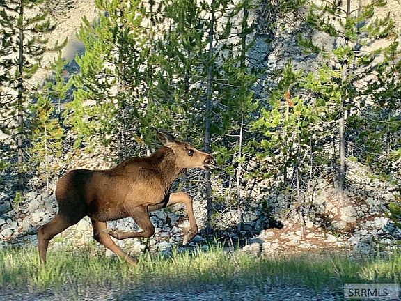 77th image of this home