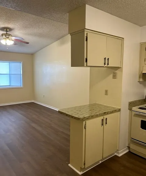 1415 Hill St — Photo 3