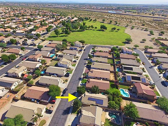 Desert Flower Aerial