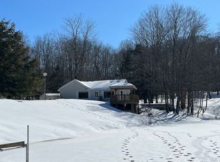 15220 Wilderness Trl, Leroy, MI 49655