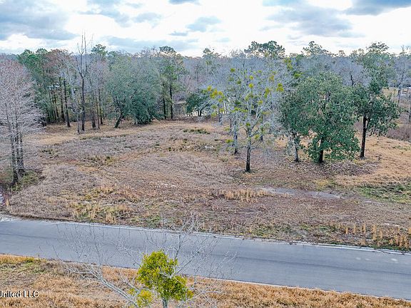 4th image of 10550 Oneal Rd Lot 6