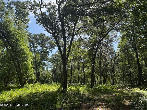 4th image of 241 INDIAN LAKES FOREST Road