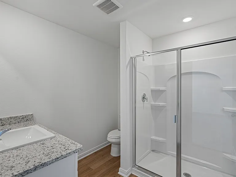 Master bathroom with a large step-in shower.