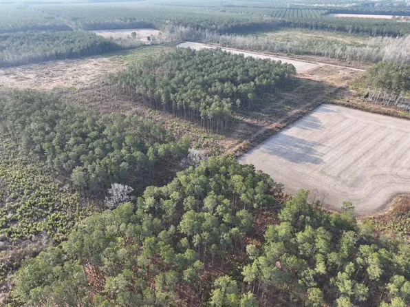 TBD Hwy 9 #Eddie Court, Marion, SC 29571