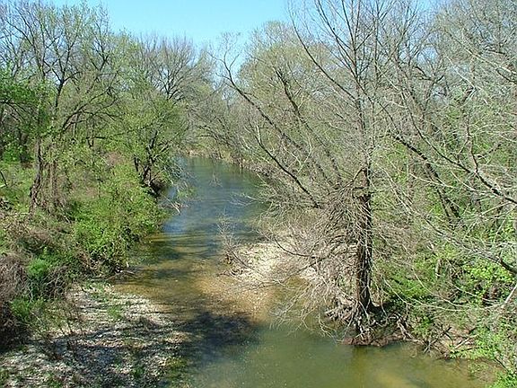 Creek from Bluff Springs