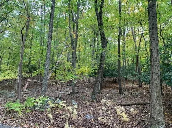 Blakeslee St, Jim Thorpe, PA 18229