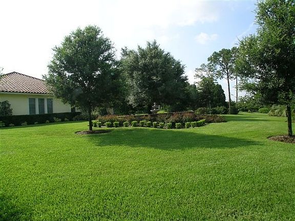 Rear yard