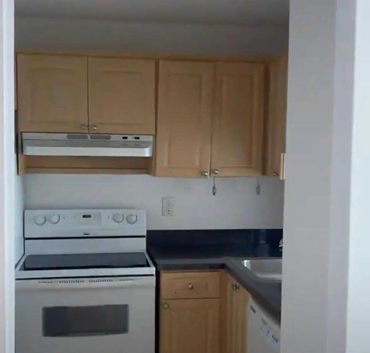 1 bed, 696 sqft, $1,775 — Photo 4