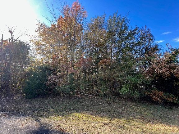 3rd image of 9999 Mossy Oak Ln