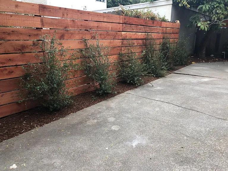 3442 Santa Clara Ave #2 — Photo 10