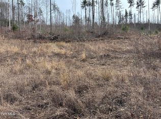 Pleasant Valley Rd, Mountain City, TN 37683