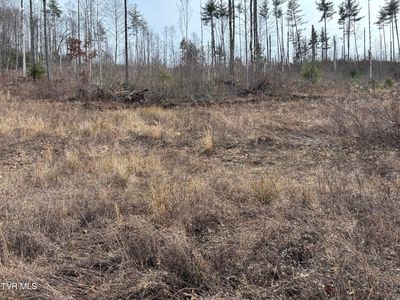 Pleasant Valley Rd, Mountain City, TN, 37683