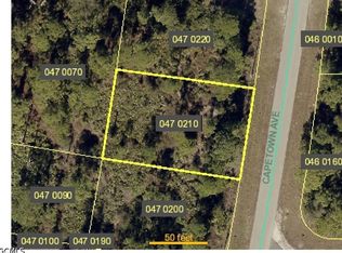 1048 Capetown Ave, Lehigh Acres, FL 33974