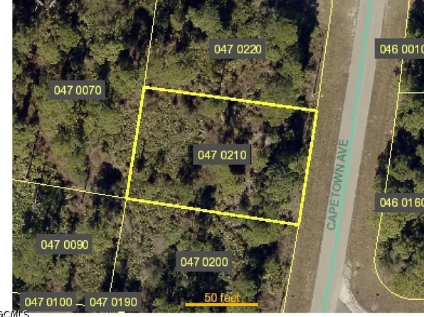 1048 Capetown Ave, Lehigh Acres, FL 33974