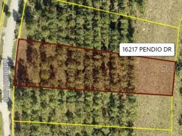 16217 Pendio Dr #43, Montverde, FL 34756
