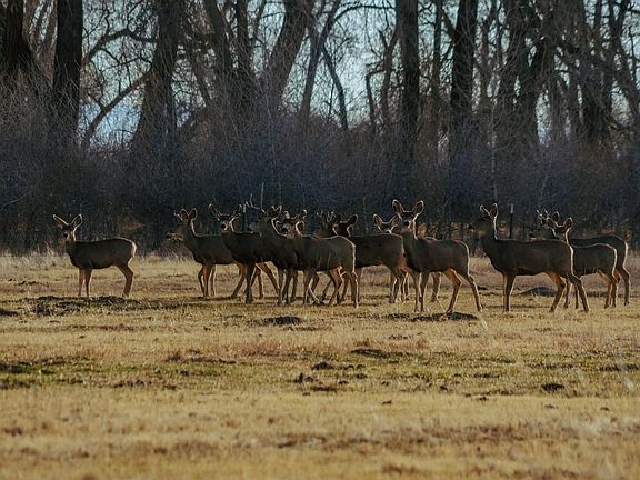 3rd image of 4690 N County Road 5 W