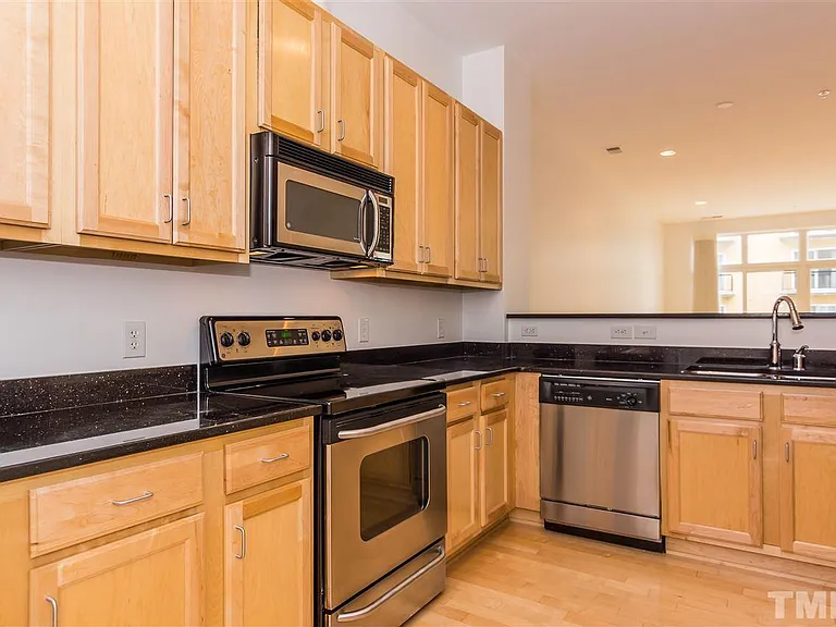 317 W Morgan St #308 — Photo 9