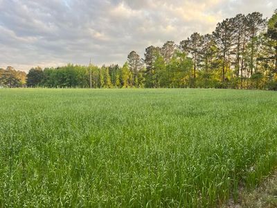 0 Lodge Highway, Lodge, SC, 29082