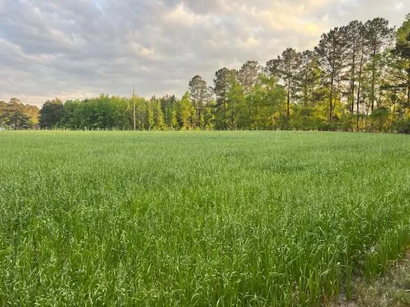 0 Lodge Highway, Lodge, SC 29082