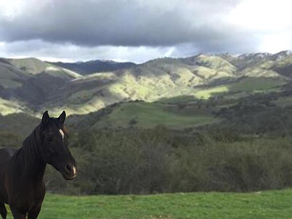 3rd image of 36000 E Carmel Valley Rd
