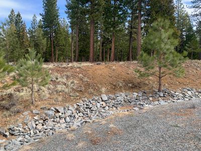 119 Smith Peak Dr, Portola, CA, 96122