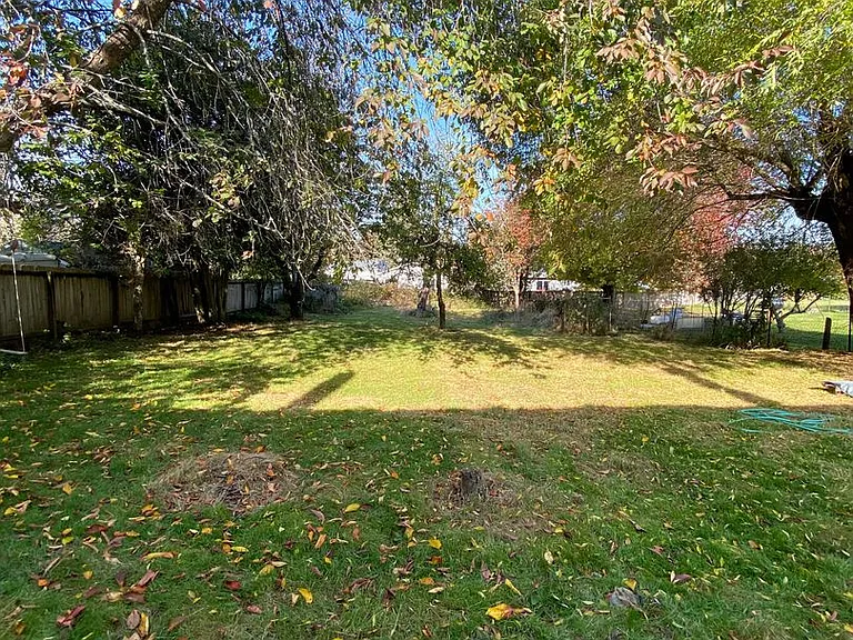 Bowman — Photo 18