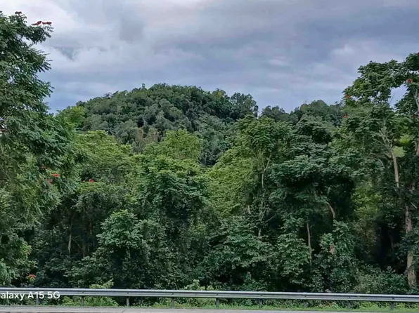 658 Bo Arenalejos, Bajadero, PR 00616