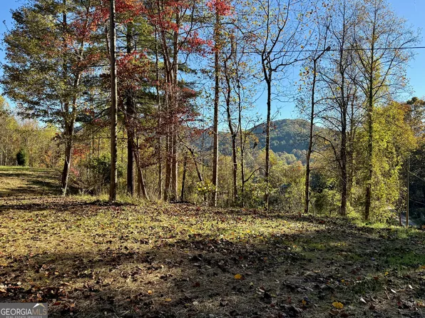 0 Zoellner Ln, Dillard, GA 30537