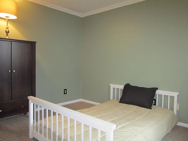 42697 Lilley Pointe Dr — Photo 10