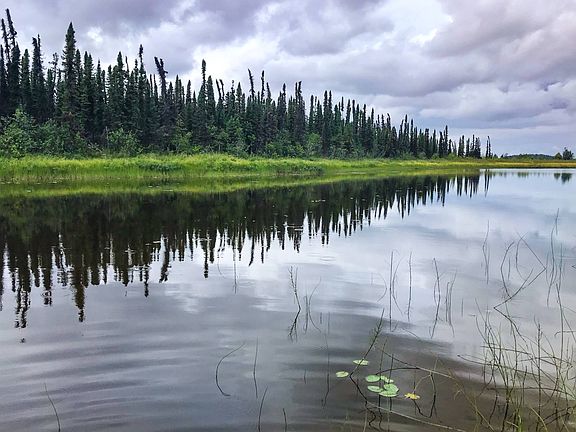 2nd image of Trapper Lake Tract C