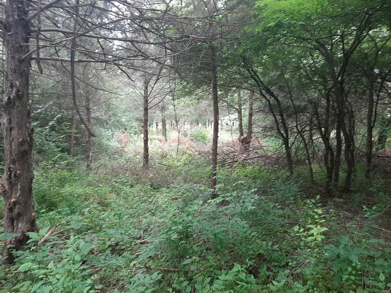 Dietrich Rd, Foristell, MO 63348 Zillow