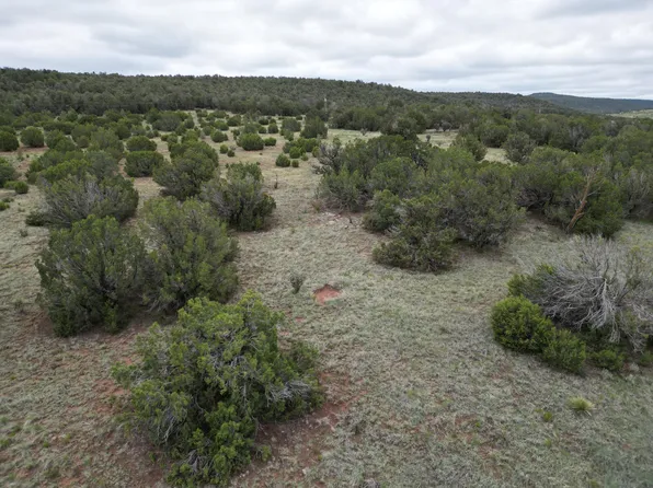 0 Windhaven Ln, Edgewood, NM 87015