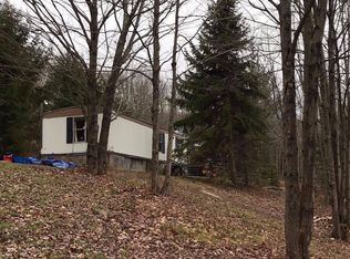 146 Lewis Ln, Hamden, NY 13782