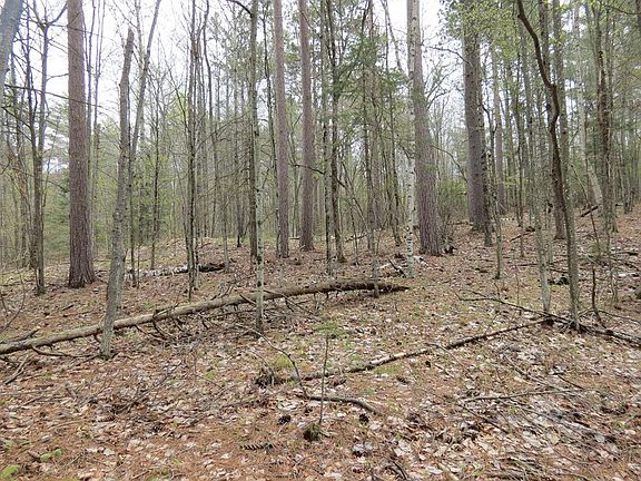 3rd image of 175 Algonquin Trl