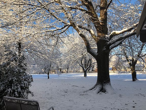 Beautiful in every season!