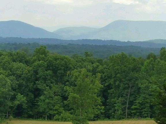 Views of the National Forest