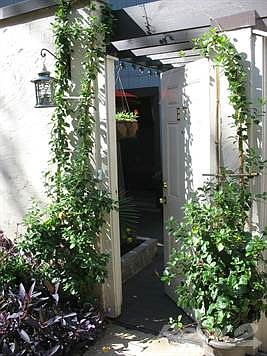 Front Entry Door