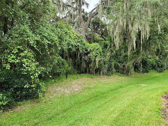 3rd image of 15748 Fishhawk Falls Dr