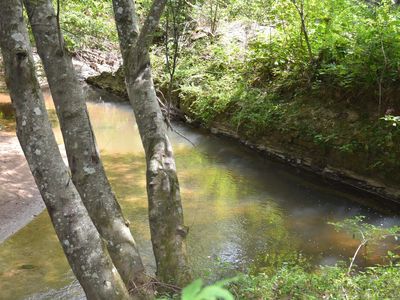 0 County Road 269 #0, Wedowee, AL, 36278