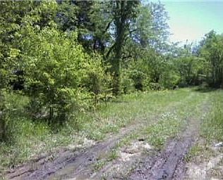 2nd image of 3104 Concord Church Rd