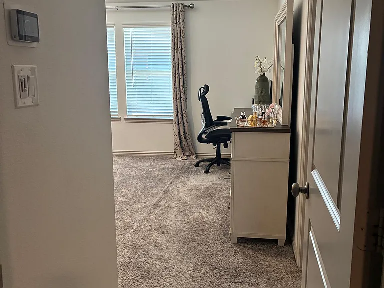 9025 Swallowtail St — Photo 45