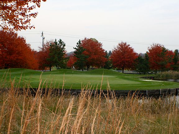 Cattail Creek Country Club!