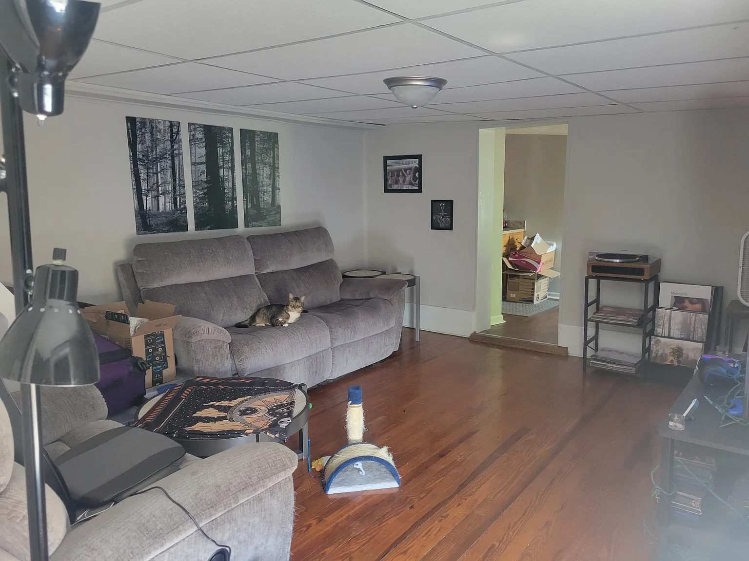 3589 Orrstown Road #3 - 3 — Photo 4