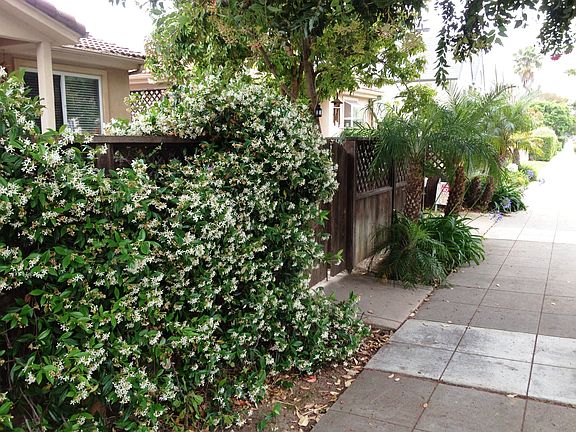 2nd image of 959 Beryl St